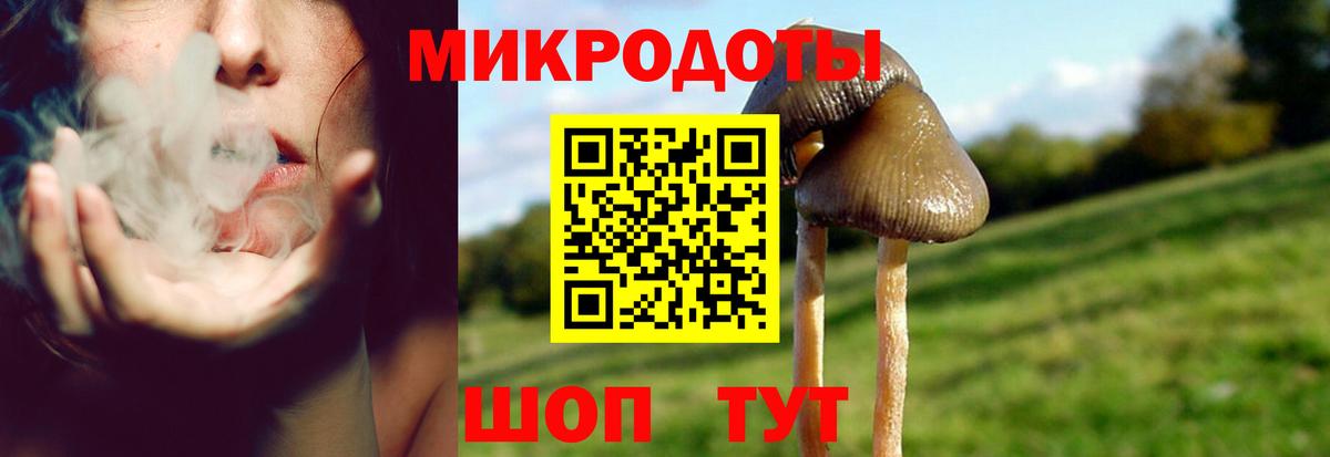 Галлюциногенные грибы GOLDEN TEACHER  Вход с VPN  Казань 